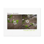 Cherry Blossom • Bridal Shower Invitation Postcard