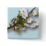 Cherry Blossom buttons