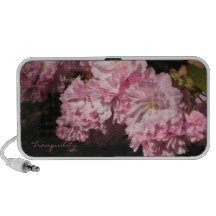 Cherry Blossom Doodle Speakers