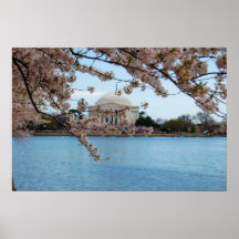 Cherry Blossom Festival & Jefferson Memorial Print