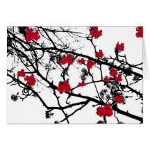 Cherry Blossom Greeting Card