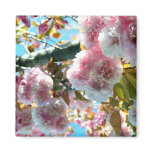 Cherry Blossom Impression Magnet