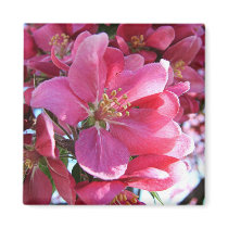 Cherry Blossom Magnets