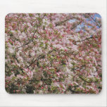 Cherry Blossom Mousepad