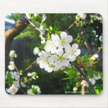 Cherry Blossom Mousepads