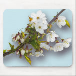 Cherry Blossom Mousepads