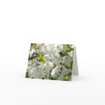 Cherry Blossom note card