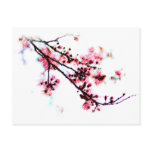 Cherry Blossom Painting postcards
