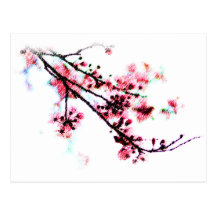 Cherry Blossom Painting Postcard