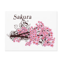 Cherry Blossom