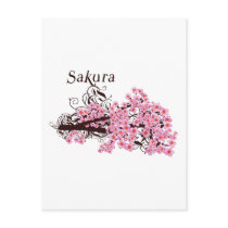 Cherry Blossom