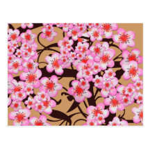 Cherry Blossom Postcard