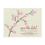 Cherry Blossom POSTCARD Save the Date (pink)