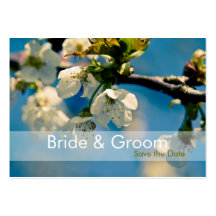 Cherry Blossom • Save the Date Mini Card Business Card