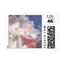 Cherry Blossom Small Postal  Wedding Postage postage