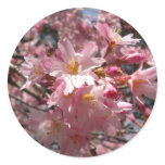 Cherry Blossom Stickers