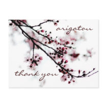 Cherry Blossom Thank You Postcards