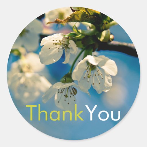 Cherry Blossom • Thank You Sticker