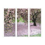 cherry blossom tree three panel wrapped canvas