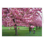 Cherry blossom trees greeting cards