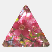 Cherry Blossom Triangle Sticker