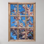 Cherry Blossom View from a Window posters