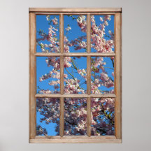 Cherry Blossom View from a Window Poster