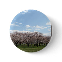 cherry blossom Washington dc Pins