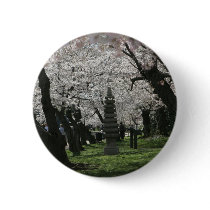 Cherry Blossom Washington DC Buttons