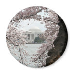 Cherry Blossom Washington DC magnets