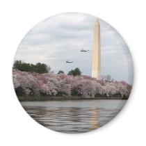 Cherry Blossom Washington DC Fridge Magnet