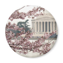 Cherry Blossom Washington DC Magnets