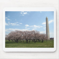 cherry blossom Washington dc Mouse Pad