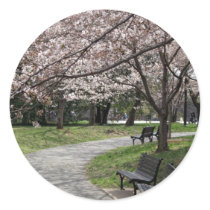 Cherry Blossom Washington DC Stickers