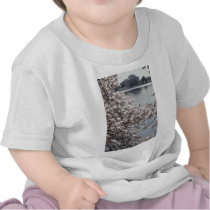 Cherry Blossom Washington DC Tee Shirts