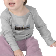 Cherry Blossom Washington DC Tee Shirts