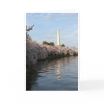 Cherry Blossom Washington monument Card
