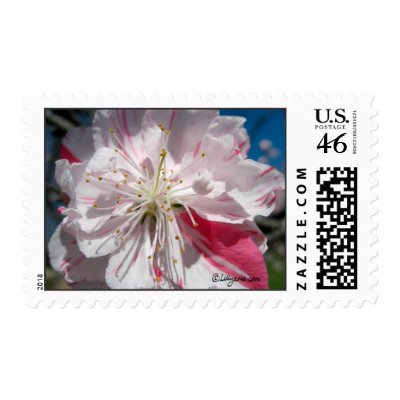 Cherry Blossom Wedding Postage by naturalilly