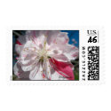 Cherry Blossom Wedding Postage postage