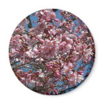 Cherry Blossoms and Blue Sky Magnet