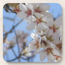 Cherry Blossoms Beverage Coasters