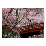 Cherry Blossoms (blank inside) cards