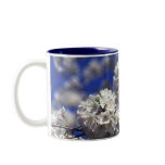 cherry blossoms coffee mug