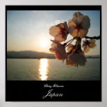 Cherry Blossoms in Japan posters
