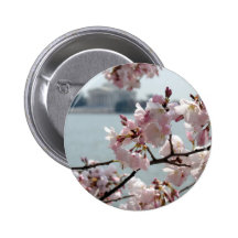 Cherry Blossoms in Washington DC Button