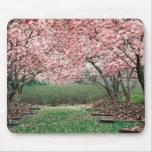Cherry Blossoms Mousepads