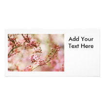 Cherry Blossoms Photo Custom Photo Card