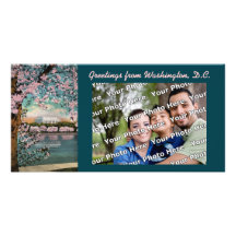 Cherry Blossoms Photocard Picture Card