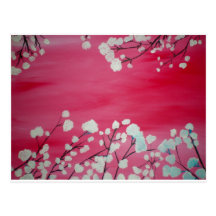 Cherry Blossoms Post Card