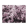 Cherry Blossoms Post Cards